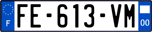 FE-613-VM