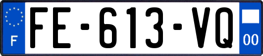 FE-613-VQ