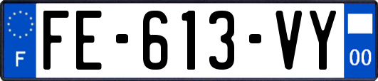FE-613-VY