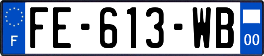 FE-613-WB