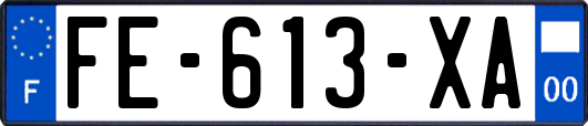 FE-613-XA
