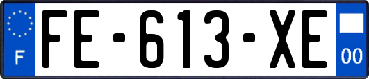 FE-613-XE