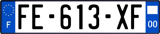 FE-613-XF