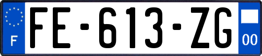 FE-613-ZG