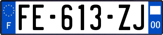 FE-613-ZJ