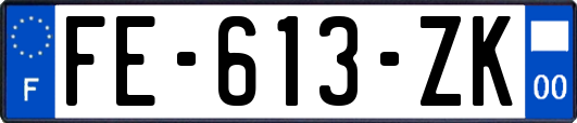 FE-613-ZK