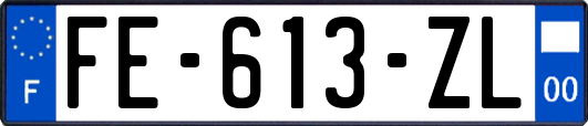 FE-613-ZL