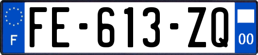 FE-613-ZQ