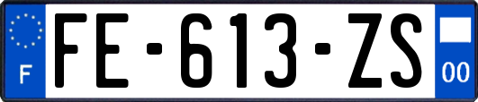 FE-613-ZS