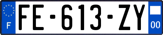 FE-613-ZY