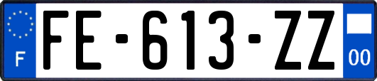 FE-613-ZZ