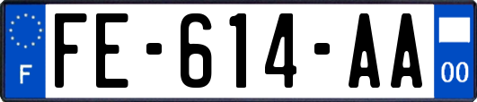 FE-614-AA