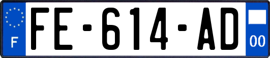 FE-614-AD