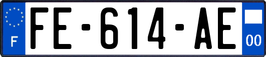FE-614-AE