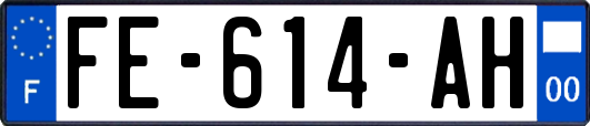 FE-614-AH