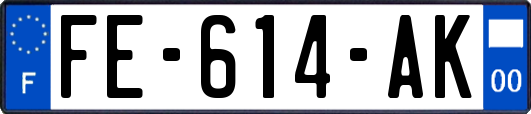 FE-614-AK