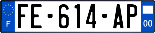 FE-614-AP