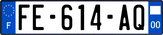 FE-614-AQ