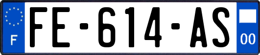 FE-614-AS