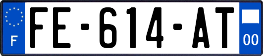 FE-614-AT