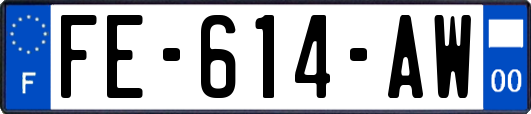 FE-614-AW