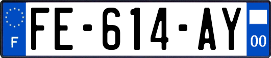 FE-614-AY