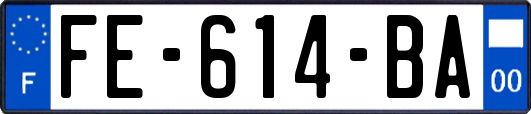 FE-614-BA