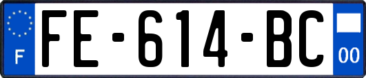 FE-614-BC