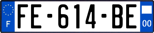 FE-614-BE