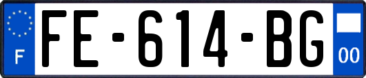 FE-614-BG