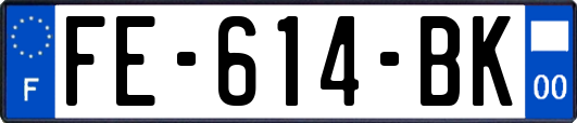 FE-614-BK