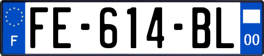 FE-614-BL
