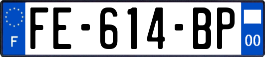 FE-614-BP