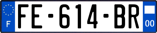 FE-614-BR