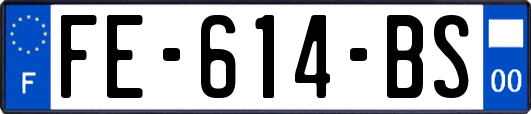 FE-614-BS