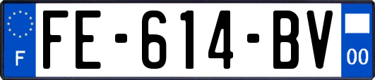 FE-614-BV