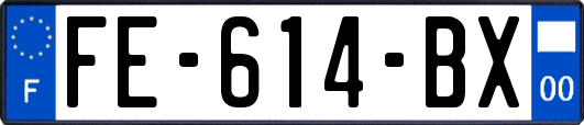 FE-614-BX
