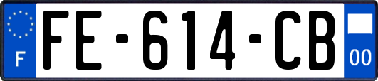FE-614-CB