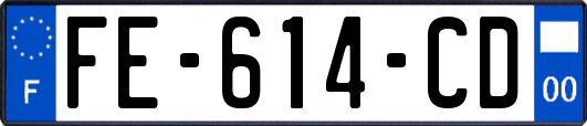FE-614-CD