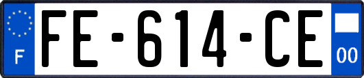 FE-614-CE
