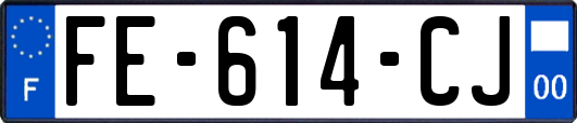 FE-614-CJ