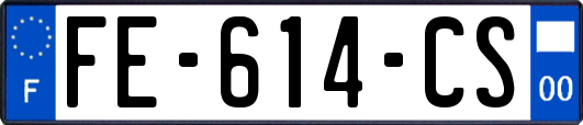 FE-614-CS
