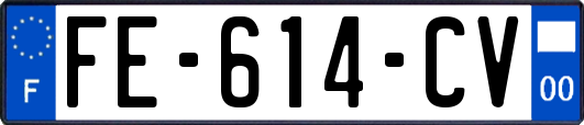 FE-614-CV