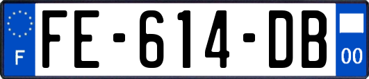 FE-614-DB