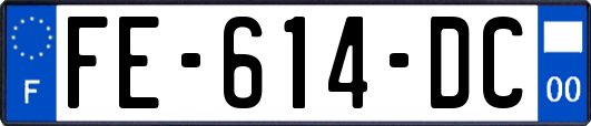 FE-614-DC