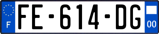 FE-614-DG