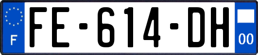 FE-614-DH