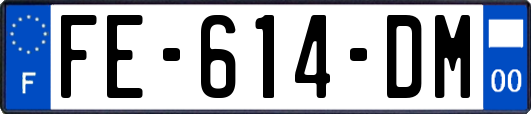 FE-614-DM