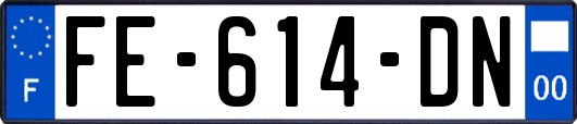 FE-614-DN