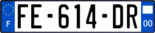FE-614-DR